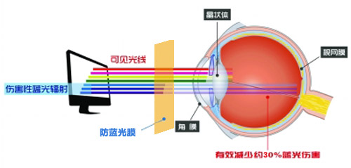 污污污软件下载最新科技成果 污污污视韩国美女直播成护眼利器